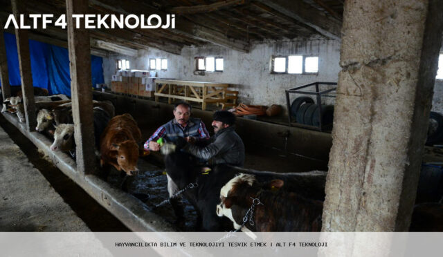 Hayvancilikta-Bilim-ve-Teknolojiyi-Tesvik-Etmek
